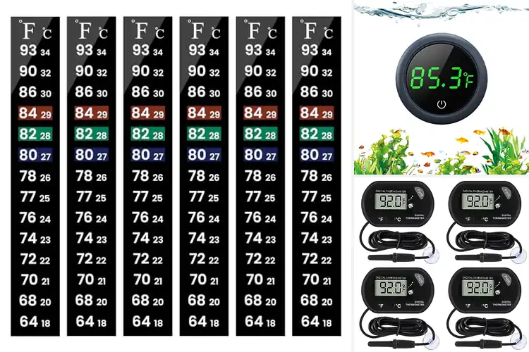 Detailed view of Best Aquarium Temperature Indicators