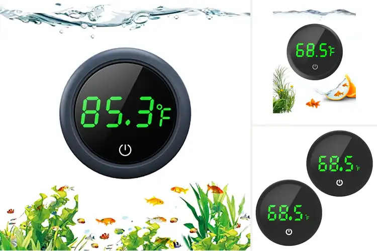 Detailed view of Best Aquarium Temperature Monitors: Keep Your Fish Happy