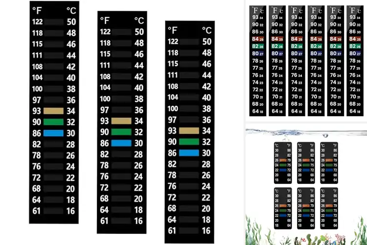 Detailed view of Best Aquarium Temperature Strips