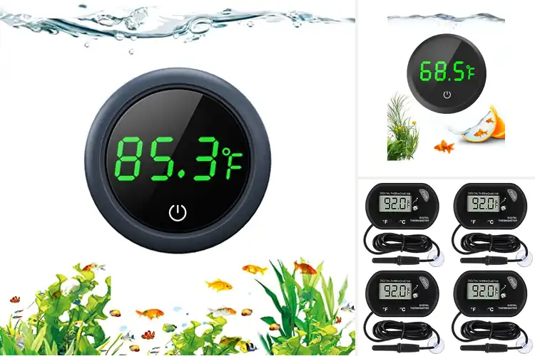 Detailed view of Best Aquarium Thermometers: Top 10 Picks for Healthy Fish