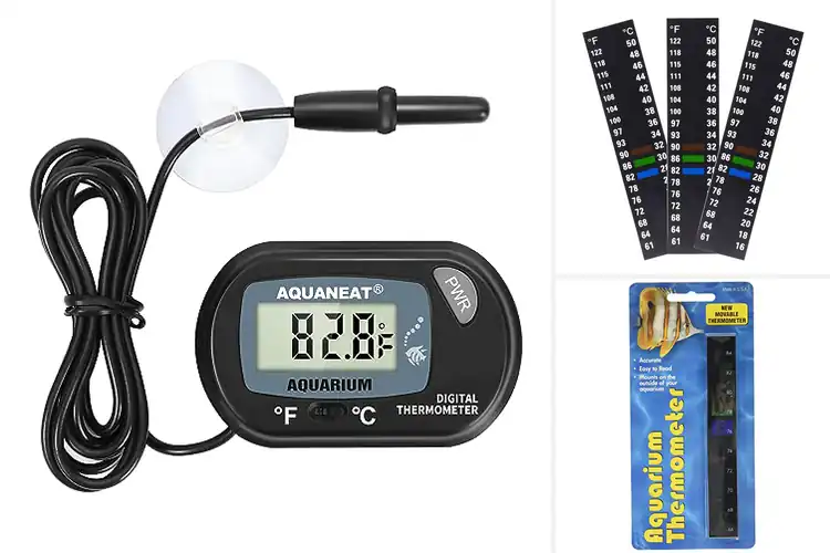 Detailed view of Best Aquatic Pet Temperature Monitors