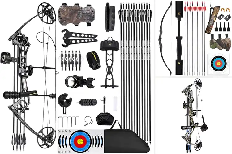 Detailed view of Best Archery Bows