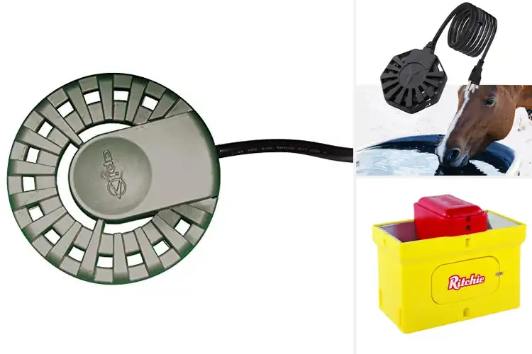 Detailed view of Best Automatic Waterer De-Icer For 5-50 Gallon