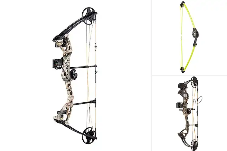 Detailed view of Best Bear Archery Bows: Top 10 Picks for Your Perfect Shot