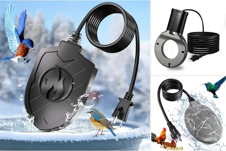 Detailed view of Best Bird Bath De-Icers: Warm Water for Winter Birds