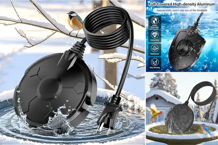 Detailed view of Best Bird Bath Heaters: Keep Birds Hydrated & Safe in Winter