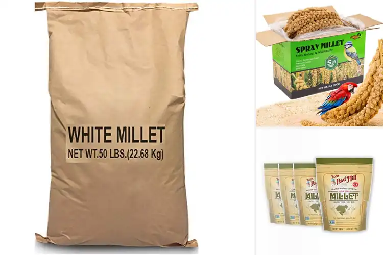 Detailed view of Best Bulk Millets