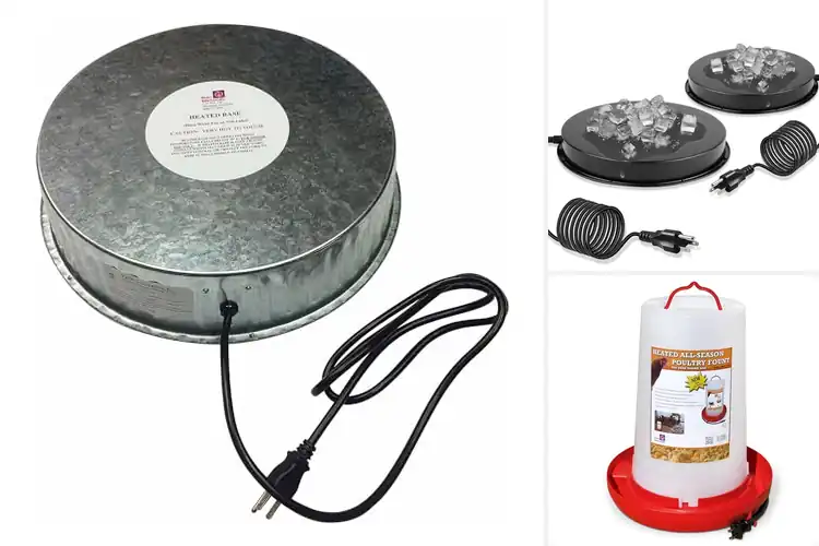 Detailed view of Best Chicken Water Heaters : Hydration All Year