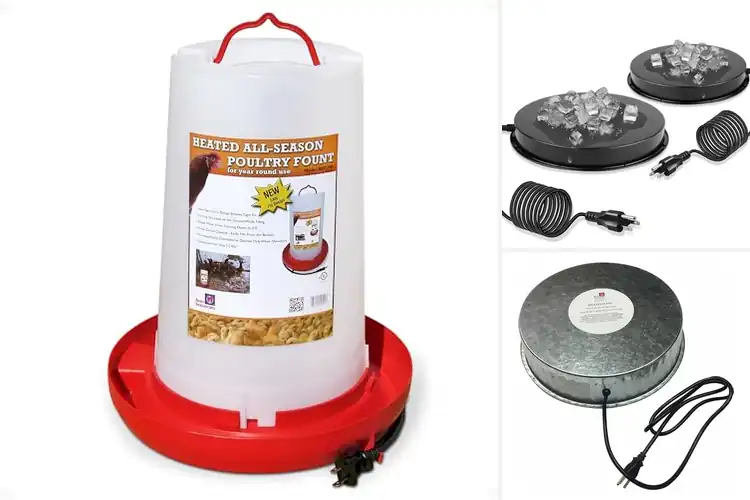 Detailed view of Best Chicken Waterer Heaters