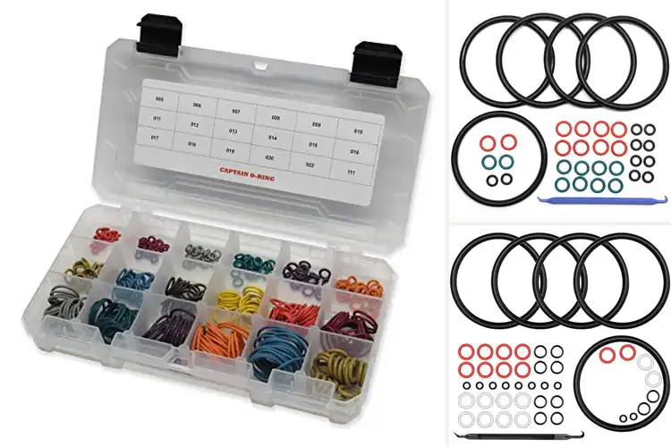 Detailed view of Best Color Coded O-Rings