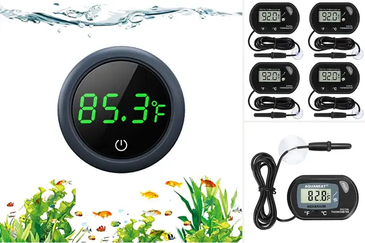 Detailed view of Best Digital Aquarium Thermometers