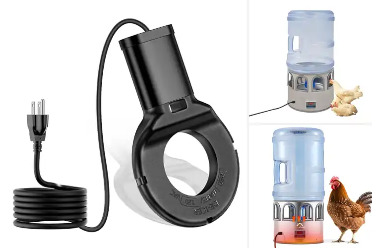 Detailed view of Best Duck Water Heaters: Top 10 Winter Hydration Solutions
