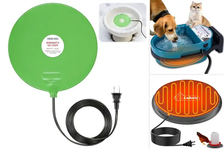 Detailed view of Best Easy-Setup Waterer Heater For Outdoor Use
