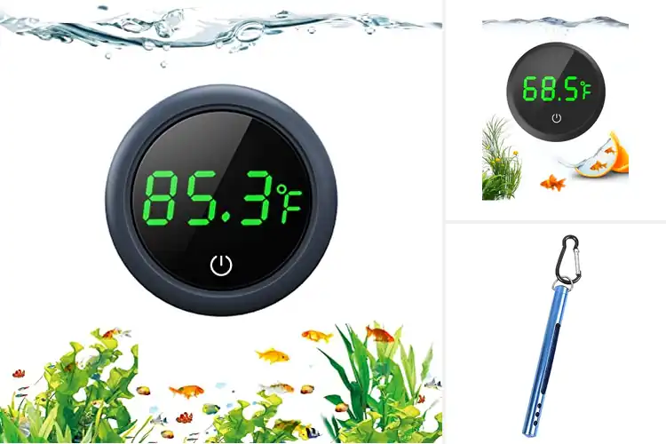 Detailed view of Best Fish Keeper Temperature Accessories