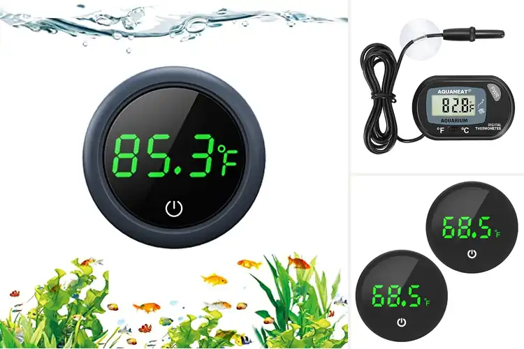 Detailed view of Best Fish Tank Temperature Monitors