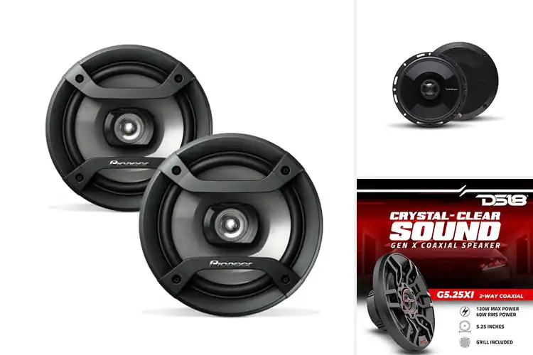 Detailed view of Best Full Range Speakers