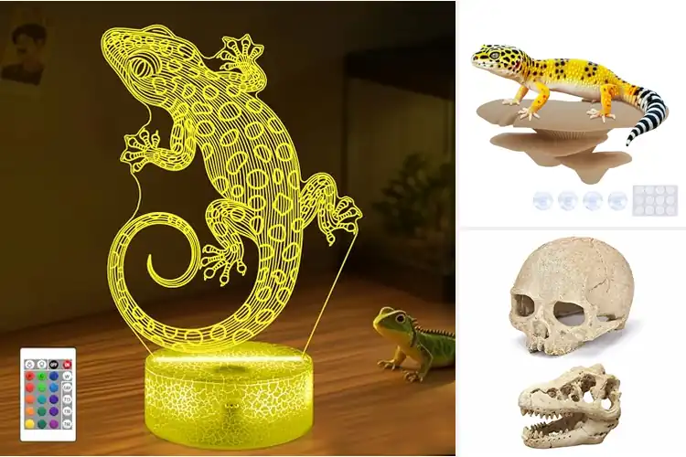 Detailed view of Best Gift For Aquarium Lovers And Reptile Enthusiasts