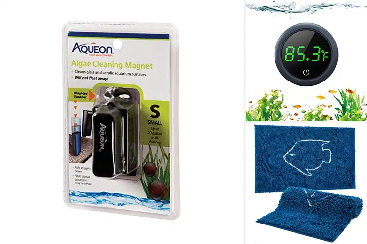 Detailed view of Best Gifts For Aquarium Enthusiasts