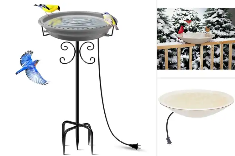 Detailed view of Best Heated Bird Baths