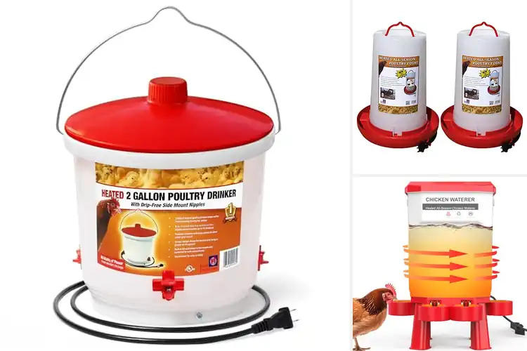 Detailed view of Best Heated Chicken Waterers: Top 10 for Winter Hydration