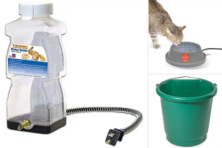 Detailed view of Best Heated Water Containers