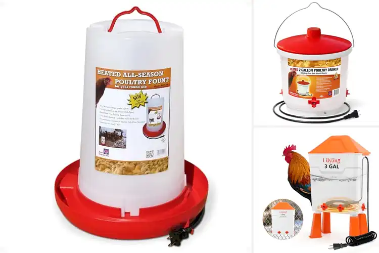Detailed view of Best Heated Waterers: Happy Flock All Winter