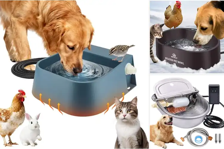 Detailed view of Best Long-Lasting Outdoor Waterer Heater