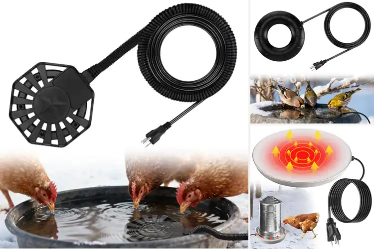 Detailed view of Best Long-Wwired Outdoor Waterer Heater