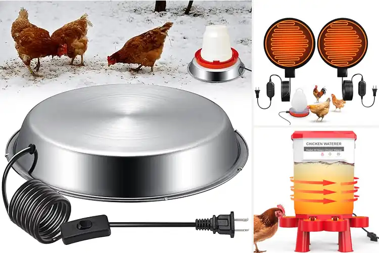 Detailed view of Best Non-Conductive Safe Poultry Water Heater