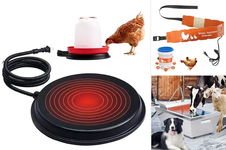 Detailed view of Best Outdoor Waterer Heater With Long Cord
