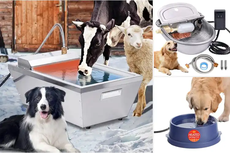 Detailed view of Best Outdoor Waterer Heater With Long-Wire