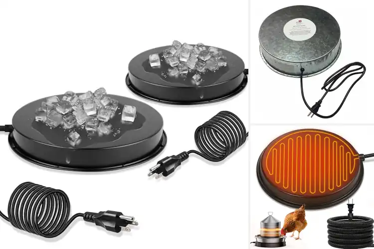 Detailed view of Best Poultry Water Heaters