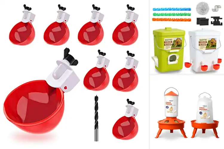 Detailed view of Best Poultry Waterers: Top 10 Picks for Happy, Healthy Birds