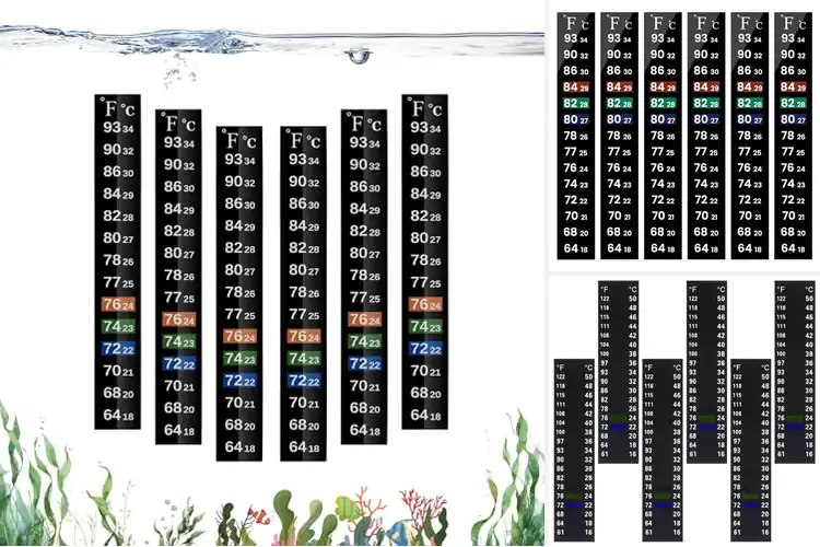 Detailed view of Best Reptile Tank Thermometer Strips