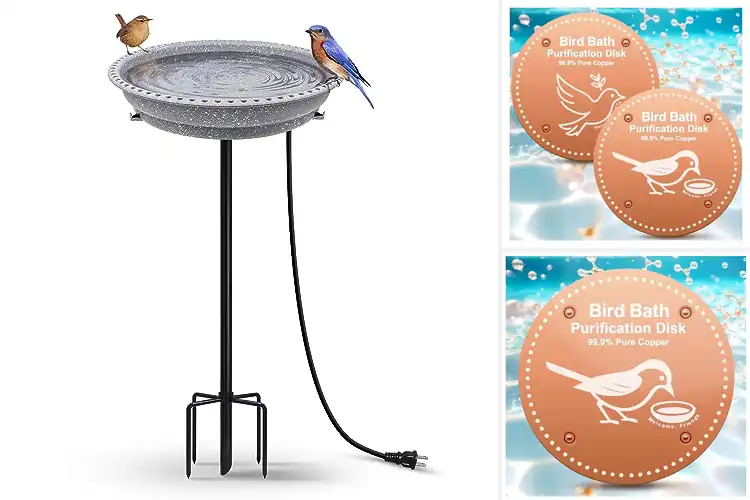 Detailed view of Best Rust-Resistant Bird Bath Heater
