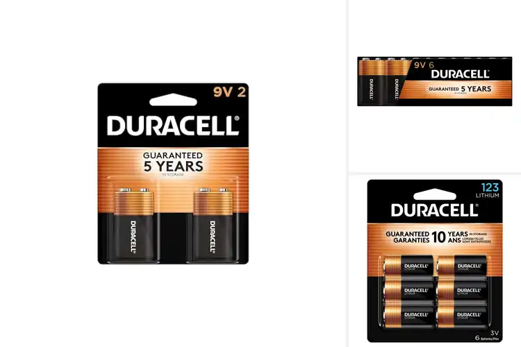 Detailed view of Best Safe Batteries