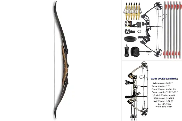 Detailed view of Best Smooth Draw Bows