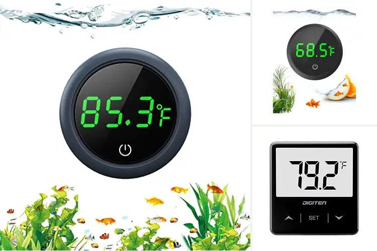 Detailed view of Best Temperature Readings For Aquariums
