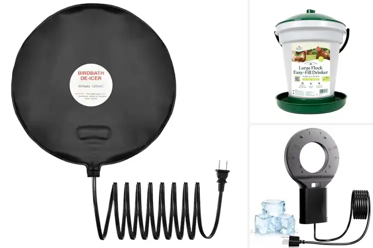 Detailed view of Best Uses For Farm Waterers In Winter