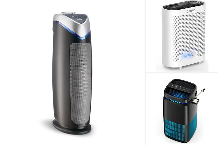 Detailed view of Best UV Air Purifiers: Top 10 Picks for a Healthier Home