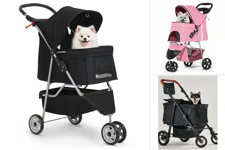 Detailed view of Best Water-Resistant Pet Strollers