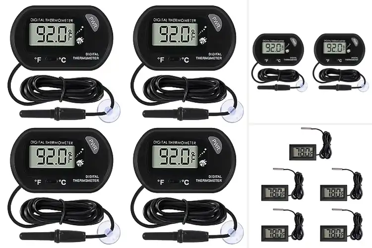 Detailed view of Best Water Temperature Indicators: Ensure Perfect Conditions