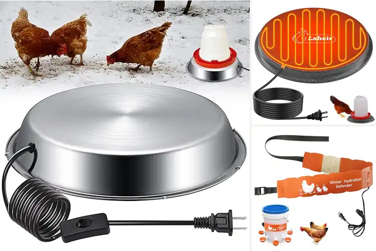 Detailed view of Best Waterer Heaters