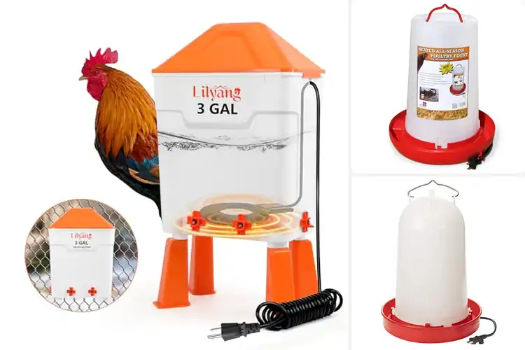 Detailed view of Best Winter Chicken Waterers