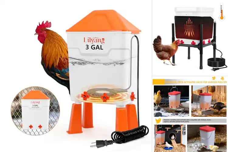 Detailed view of Best Winter Waterers: Keep Your Flock Hydrated All Season